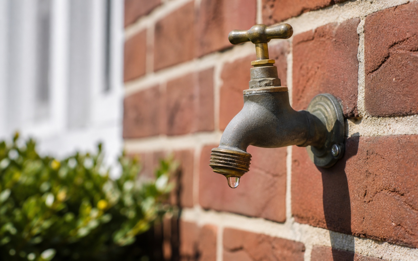 Outdoor Faucet Leaking After Winter? A Calgary Spring Checklist